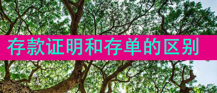 存款证明和存单的区别